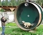 Reprodu��o