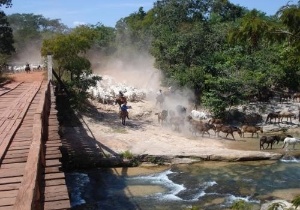 Milton Queiroz/Minha Cidade