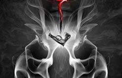 www.Mehmet-Ozgur.com