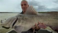 Discovery Channel
