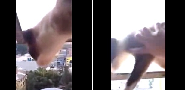 26.ago.2014 - Reprodução do vídeo que mostra garota atirando gata de prédio - Reprodução